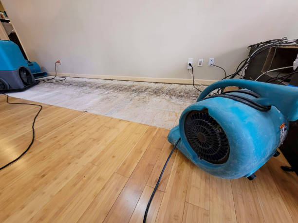 Professional Flood Damage Cleanup technician working in Anderson, IN
